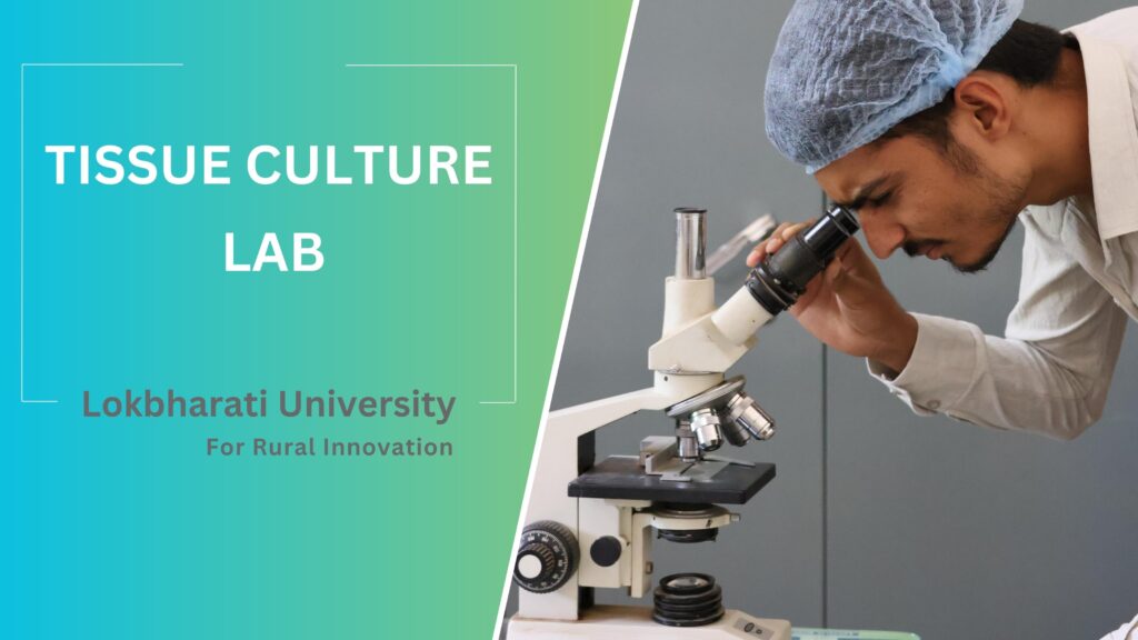 Tissue Culture Lab Lokbharati University for Rural Innovation Sanosara
